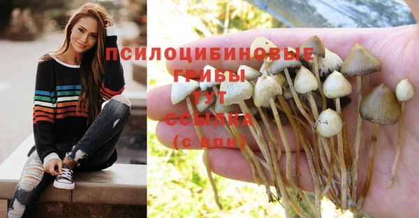 гашишное масло Майский