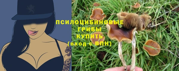 дмт Магадан