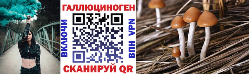 kraken сайт  Железногорск  Галлюциногенные грибы Magic Shrooms 
