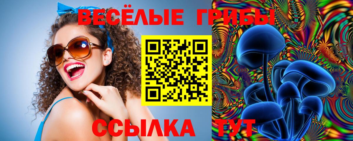 Галлюциногенные грибы GOLDEN TEACHER  Железногорск  Галлюциногенные грибы Cubensis 