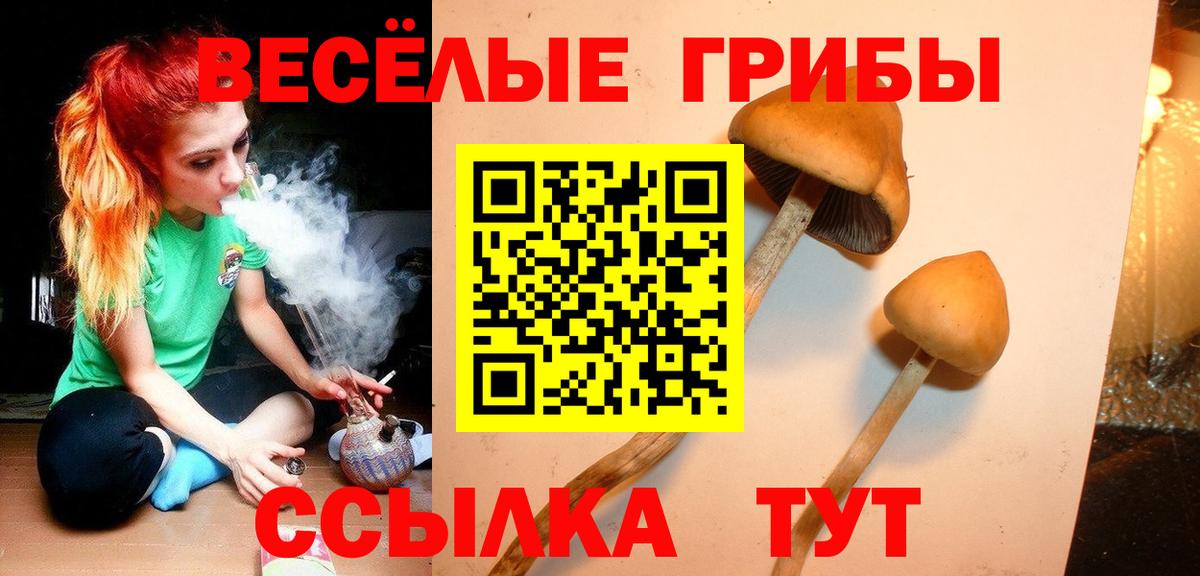 Галлюциногенные грибы GOLDEN TEACHER Железногорск