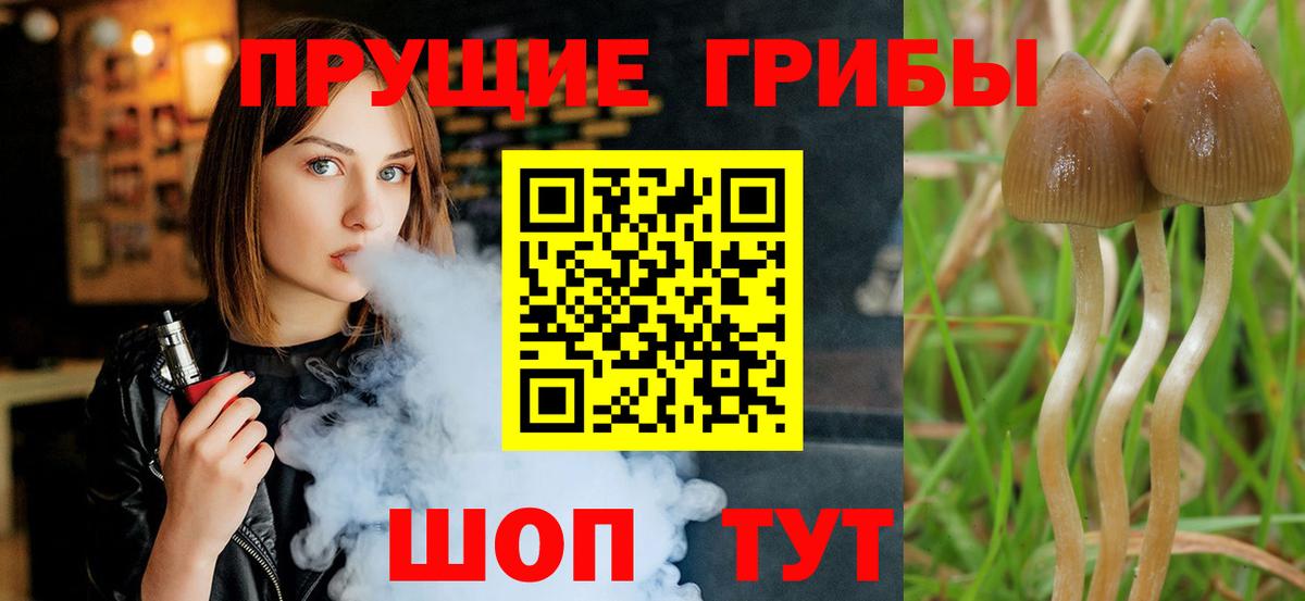 Галлюциногенные грибы GOLDEN TEACHER  Вход с VPN  Железногорск 