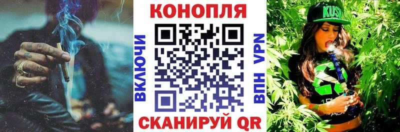 нарко площадка состав продажа наркотиков Железногорск МАРИХУАНА ГИДРОПОН